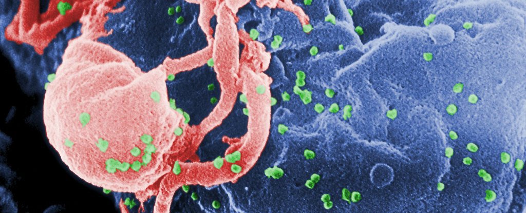 There’s an intact ancient virus lying dormant in human DNA – ScienceAlert