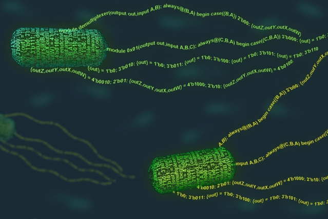 A programming language for living cells | MIT News
