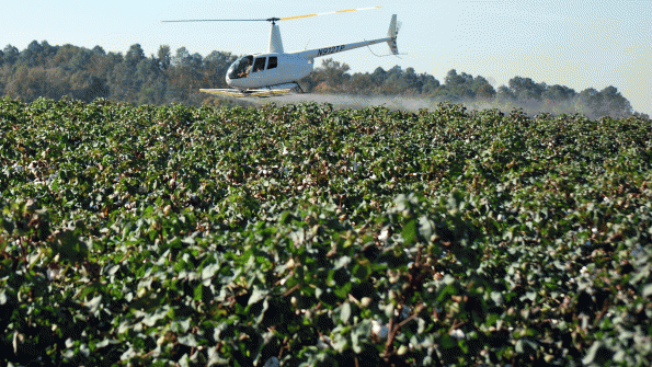 EPA moves to restrict paraquat herbicide | Cotton content from Southeast Farm Press