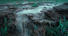 Fertilizer applied to fields today will pollute water for decades | Waterloo Stories