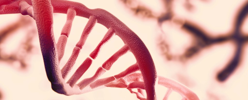Physicists confirm there’s a second layer of information hidden in our DNA